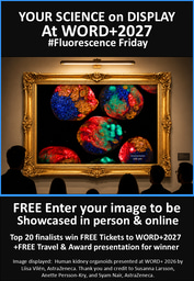 🔬YOUR SCIENCE. YOUR ORGANOID IMAGE. ON DISPLAY AT WORD+2027.