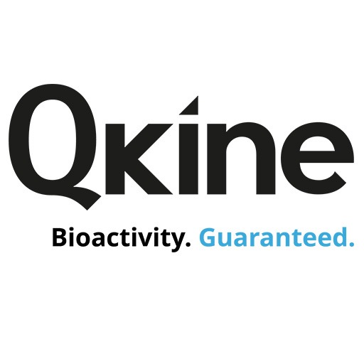 Go to the profile of Qkine