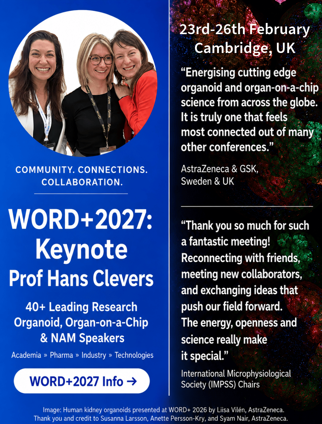 🧫WORD+ is back and it's our 5th Anniversary!