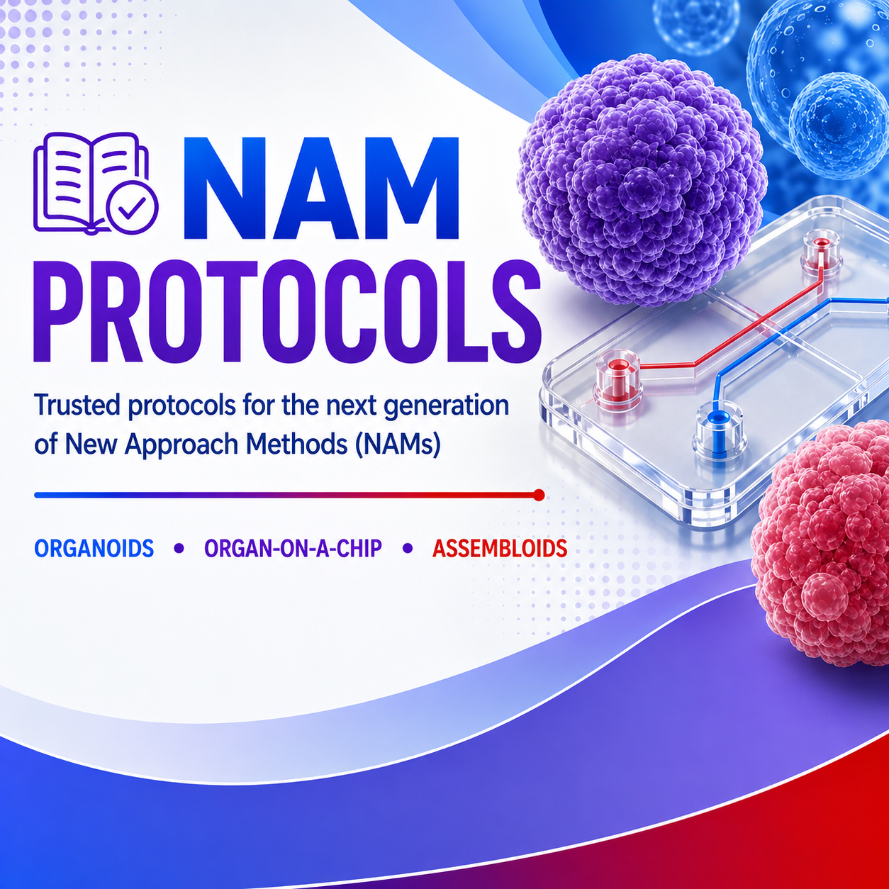 Checkout the NEW NAM Protocols page!