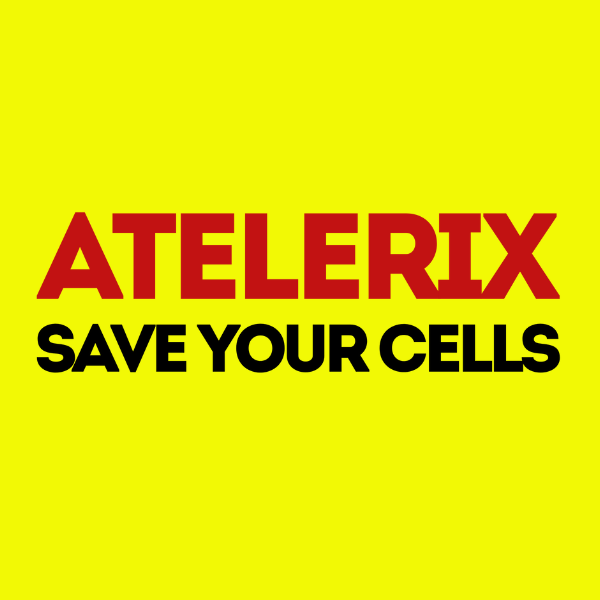 Go to the profile of ATELERIX